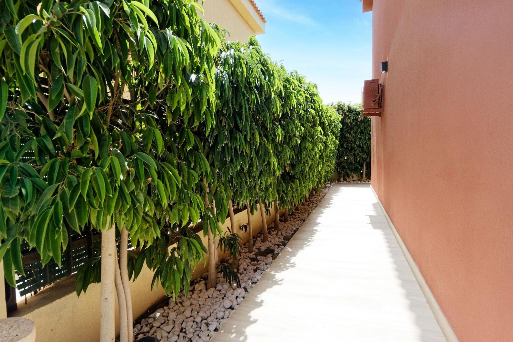 Villa Anil Meloneras San Bartolomé エクステリア 写真